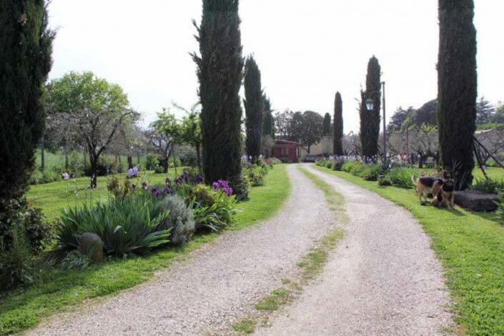 فندق Il Casale Di Rosaria Zagarolo المظهر الخارجي الصورة